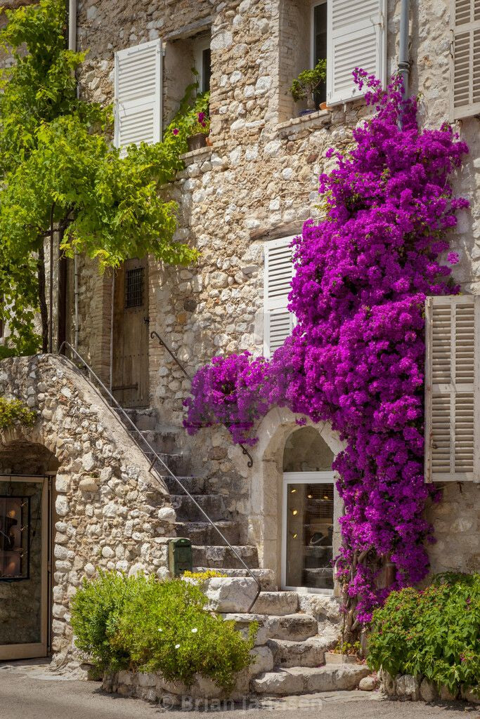 Une maison de provence avec ses tradiationels murs en pierre apparente, garnis de belles fleures violette. L'air ambiant est parfumé de lavande, de thym et de tons boisés. C'est la fragrance Montagne d'Azur de Erra. Disponible en diffuseur et bougie.