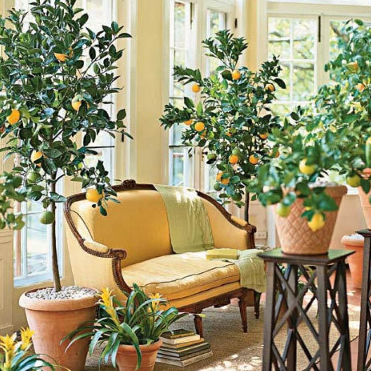 Parfum "Eau d'Aahar": La senteur évocatrice des bigaradiers en fleurs, où les notes solaires de la fleur d’oranger se mêlent avec délicatesse à la mandarine et aux épices d’orient, sur un fond de musc et de vanille.