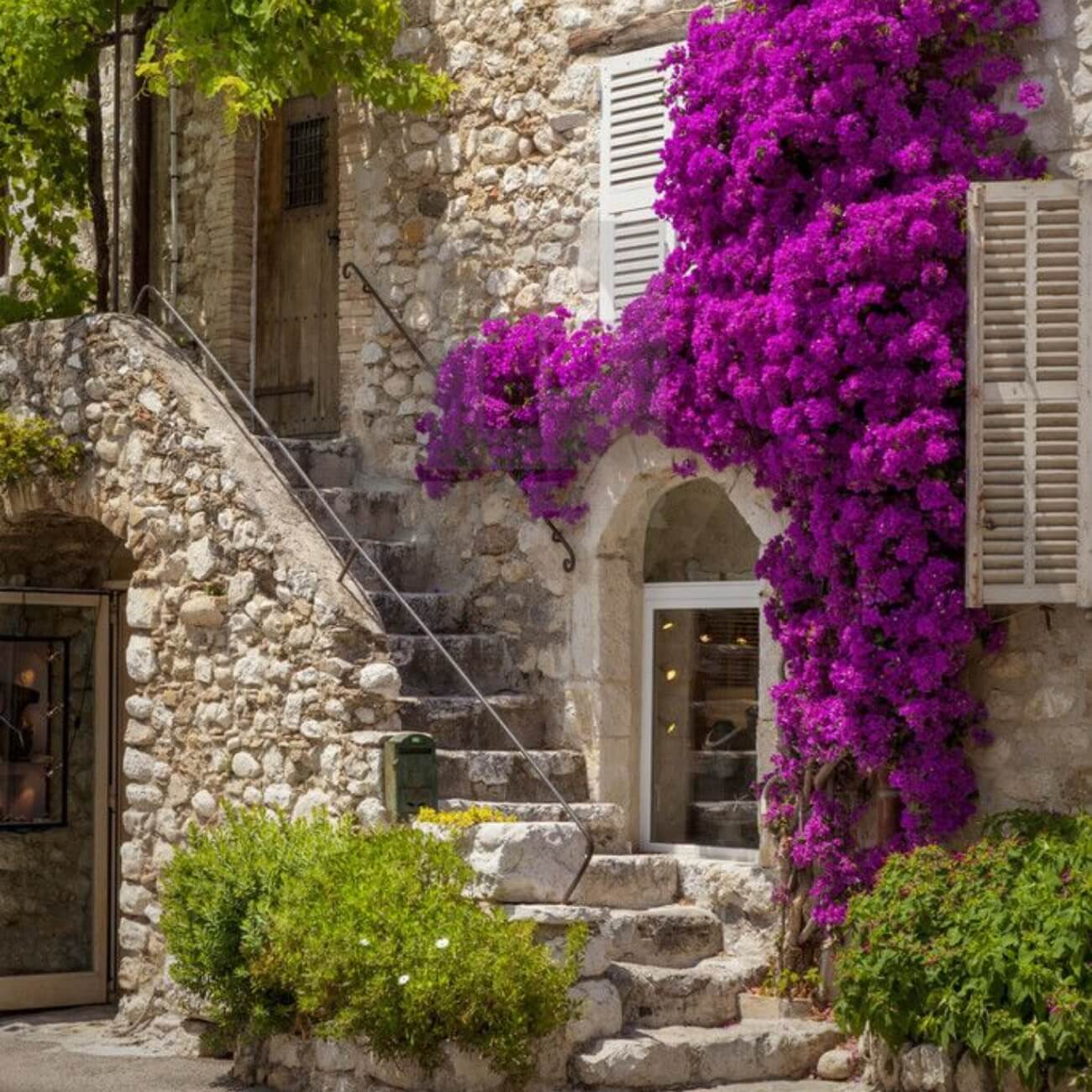 Parfum "Montagne d'Azur": Respirez la fraîcheur du thym, les notes boisées du romarin et la douceur de lavande, pour un pur moment de détente au bord de la méditerranée